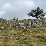 Moughton Feriehus